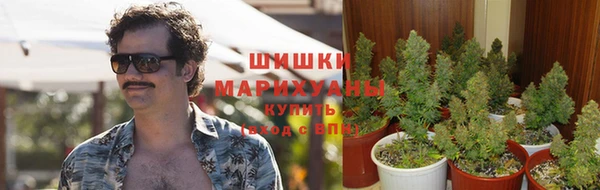 мдма Бородино