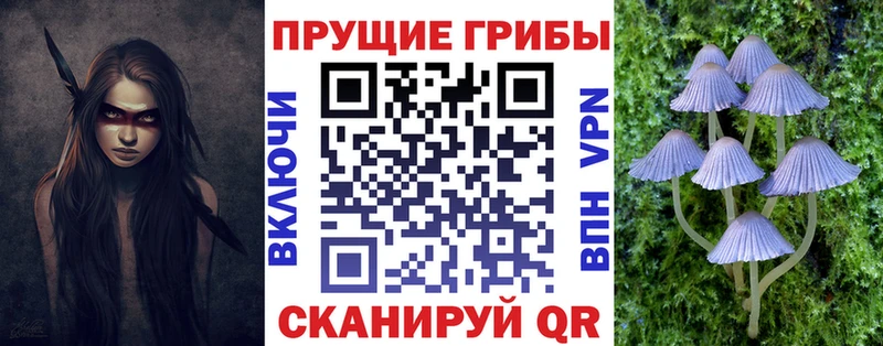 наркошоп Заозёрный Галлюциногенные грибы Cubensis